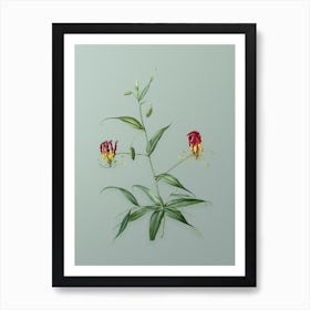 Vintage Flame Lily Botanical Art on Mint Green Art Print