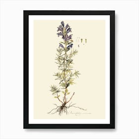 Lupine 1 Art Print