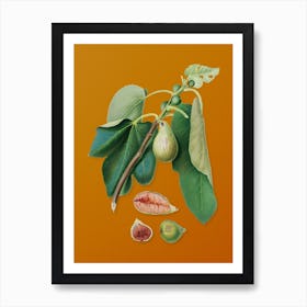 Vintage Monaco Fig Botanical on Sunset Orange n.0369 Art Print