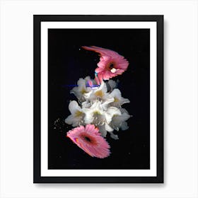 Flower Studies 12 Art Print