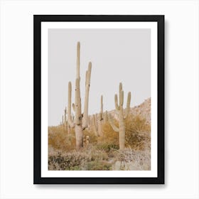 Arizona Desert Sunset Art Print