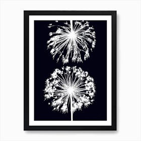 Black white allium 2 Art Print