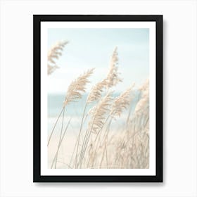 Eel Grass On The Beach Art Print