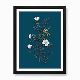 Vintage Hedge Rose Black and White Gold Leaf Floral Art on Teal Blue n.0515 Art Print