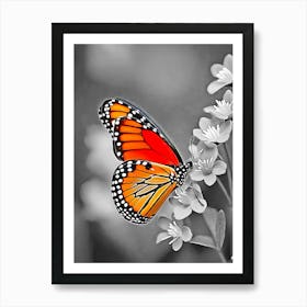 Butterfly On A Flower 2 Art Print