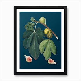 Vintage Fig Botanical Art on Teal Blue 4 Art Print