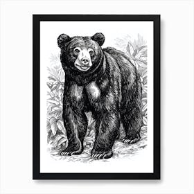 Malayan Sun Bear Standing In A Forests Ink Illustration 4 Art Print