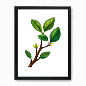 Vector Illustration Of A Tree Branch Art Print