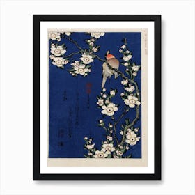 Robin On A Branch Of Cherry Blossom, Katsushika Hokusai Art Print