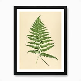 Vintage Illustration Harts Tongue Fern 3 Art Print