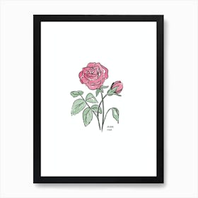 June Rose Birth Flower 1 Art Print