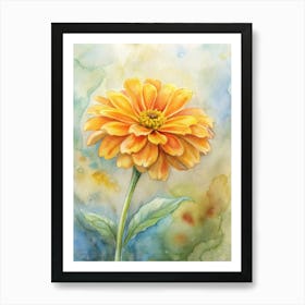 Zinnia Art Print