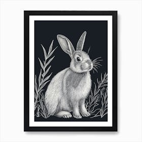 Netherland Dwarf Rabbit Minimalist Illustration 1 Art Print