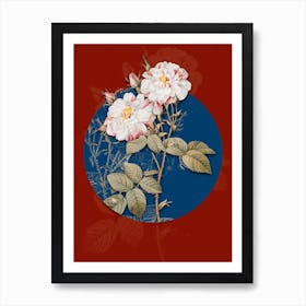 Vintage Botanical White Damask Rose on Circle Blue on Red n.0198 Art Print