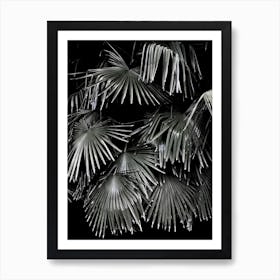 Tropical Garden 5i5 Art Print