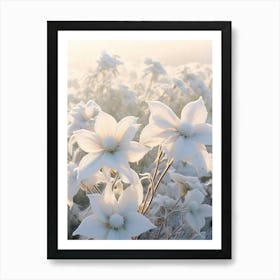 Frosty Botanical Poinsettia 5 Art Print