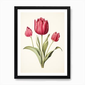 Tulips Flower Vintage Botanical 2 Art Print