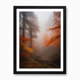 Enchanted Woods Art Print