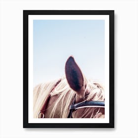 Horse Blue Art Print