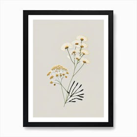 Feverfew Spices And Herbs Retro Minimal 3 Art Print