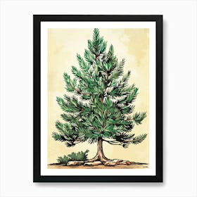 Douglas Fir Tree Storybook Illustration 1 Art Print