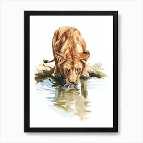 Barbary Lion Drinking From A Water Clipart  3 Art Print