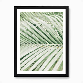 Palm Leaves Background 1 Art Print