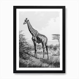 Giraffe In The Grass Pencil Drawing 4 Art Print