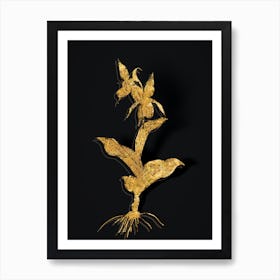 Vintage Lady's Slipper Orchid Botanical in Gold on Black Art Print