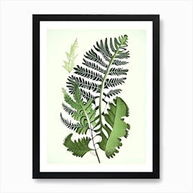 Maidenhair Spleenwort 1 Vintage Botanical Poster Art Print