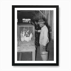 Woker Watering Chickens At South Louisiana State Fair, Donaldsonville, Louisiana By Russell Lee Art Print