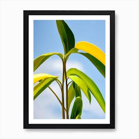 Banana Plant 2 Bold Graphic Art Print