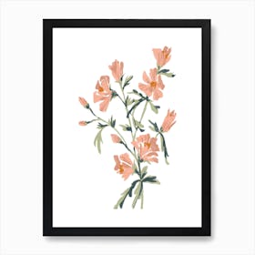 Pink Flowers Art Print