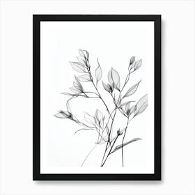 Black And White Drawing Of Flowers 1 Art Print