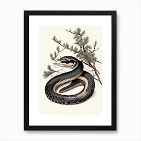 Black Pine Snake Vintage Art Print
