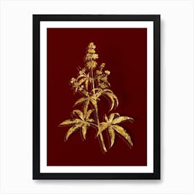 Vintage Chaste Tree Botanical in Gold on Red n.0432 Art Print