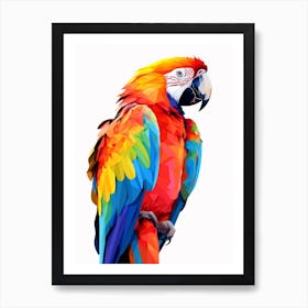 Colourful Geometric Bird Macaw 1 Art Print
