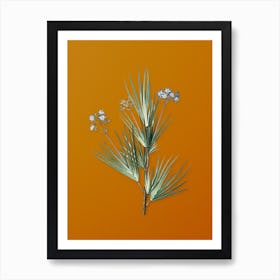 Vintage Blue Stars Botanical on Sunset Orange Art Print