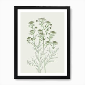 Camomile Herb William Morris Inspired Line Drawing 3 Art Print