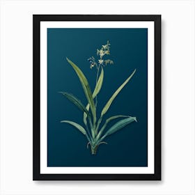 Vintage Flax Lilies Botanical Art on Teal Blue n.0264 Art Print