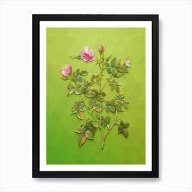 Vintage Pink Flowering Rosebush Botanical Art on Love Bird Green n.0895 Art Print