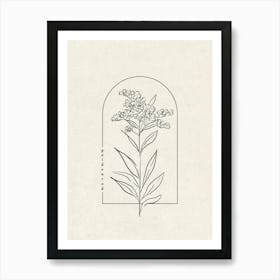 Goldenrod Flower Art Print