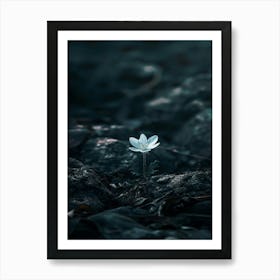 White Flower In The Dark 43 Art Print