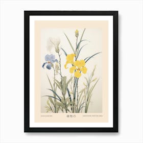 Hanashobu Japanese Water Iris 1 Vintage Japanese Botanical Poster Art Print