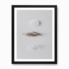 Stones And Branches 2 Art Print