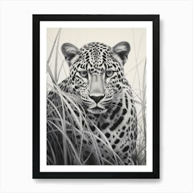 African Leopard Realism Portrait 1 Art Print