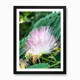 Flower From A Flowering Tree Art Print