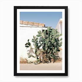 Cactus in front of Ibiza House // Ibiza Nature & Travel Photography Art Print