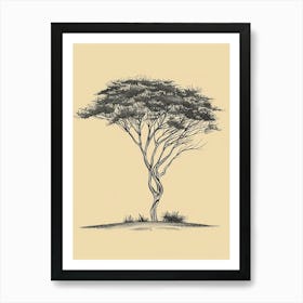 Acacia Tree Minimalistic Drawing 1 Art Print