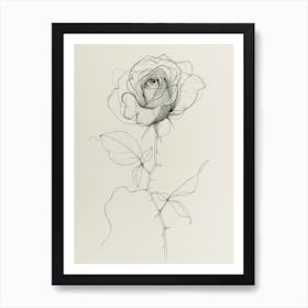 English Rose Black And White Line Drawing 19 Art Print